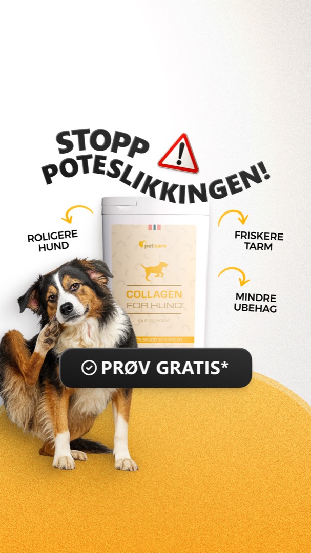 Marketr static ad